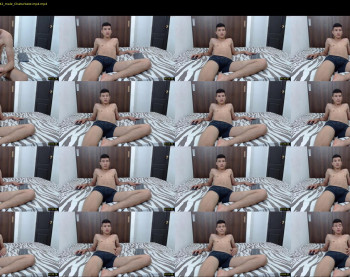 mestymys