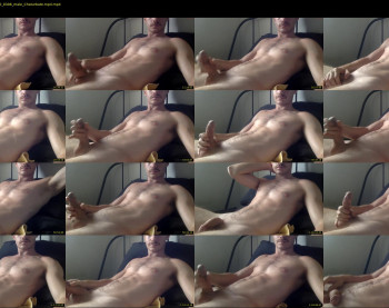 legitdistraction