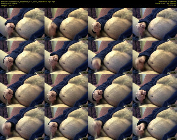 scottbearfun