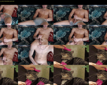 curtis_roy