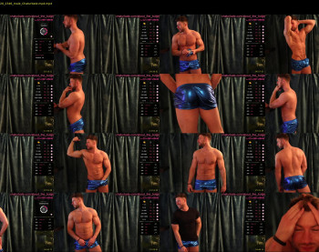 about_the_bulge