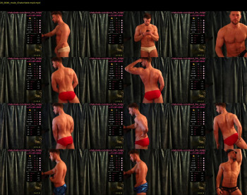 about_the_bulge