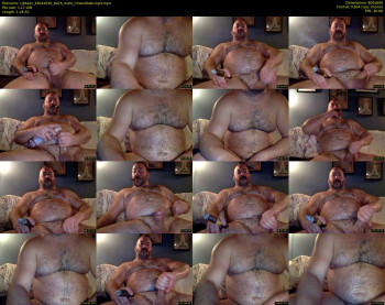 cjbbear