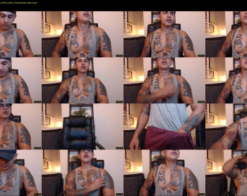 maxstephenx