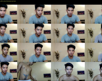 xbluephoenixx