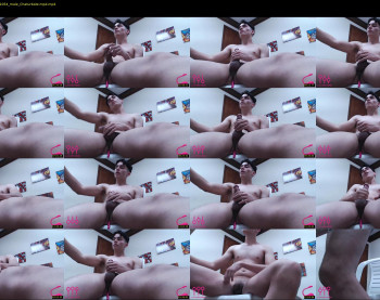 daniel_horse