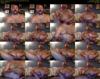 cjbbear