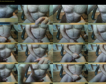 furrybear2
