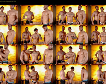 savage_studs