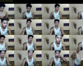 xbluephoenixx