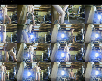 warrenstrips
