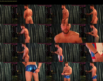 about_the_bulge