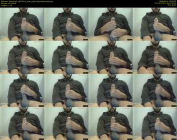 bigbicho7