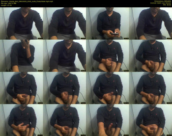 champ_desi