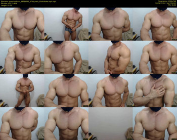 promuscles4u