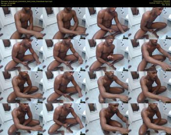 thonybryan