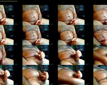 bellyworshipper