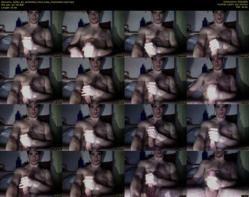 dalfox_94