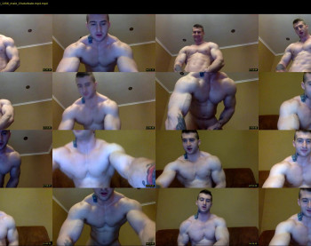 panda_muscle