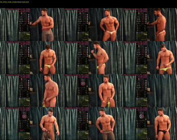about_the_bulge