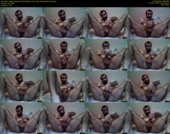 edgerslutyanimal