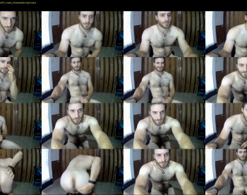 osito_blanco