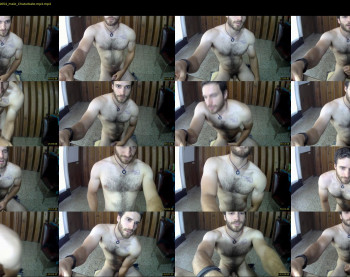 osito_blanco