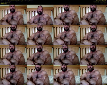 musclbear