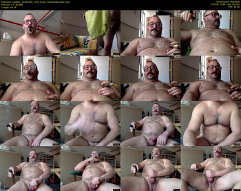 cjbbear