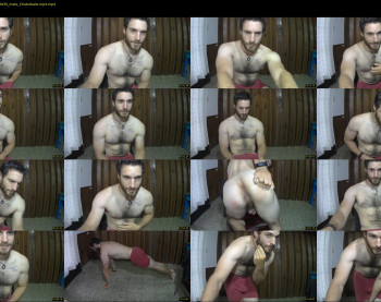 osito_blanco