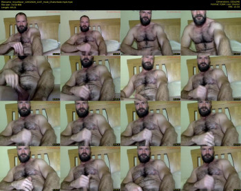 musclbear