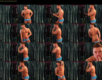 about_the_bulge