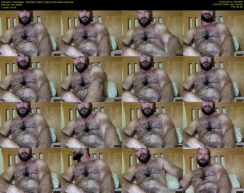 musclbear