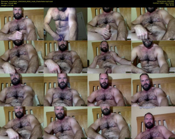 musclbear