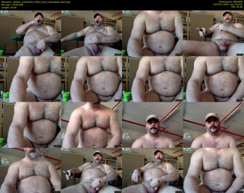 cjbbear