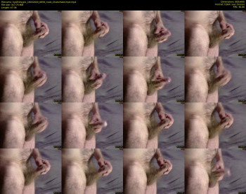 kysifrotsypic