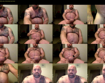 cub4bearus