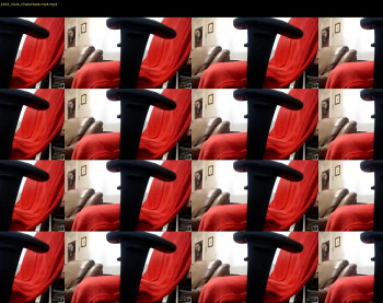kingforreal22
