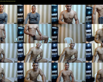 teddyfit19cm