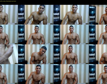 teddyfit19cm