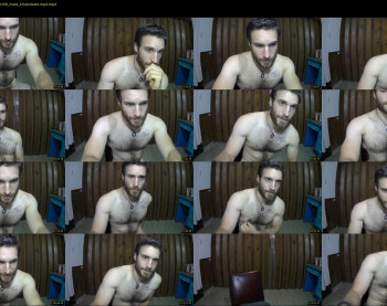 osito_blanco