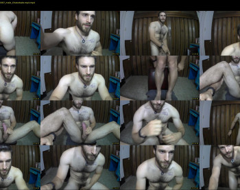 osito_blanco