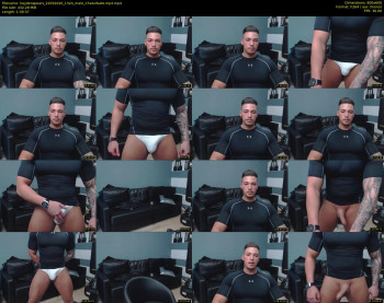 haydenspears