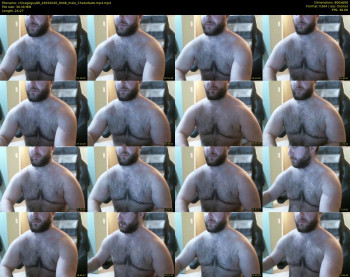 chicagoguy86