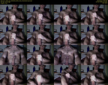dalfox_94