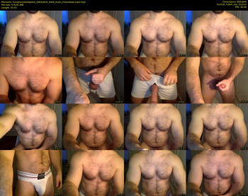 hunghairydaddydick