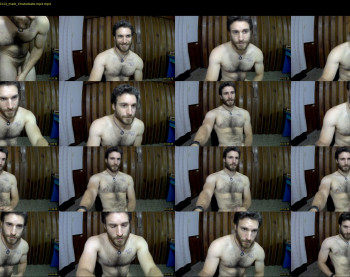 osito_blanco