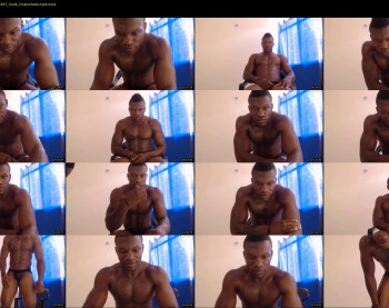 11inche_hot