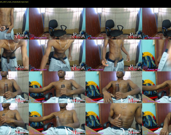 rimay_moss2017