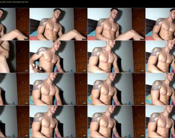 alexander_2015